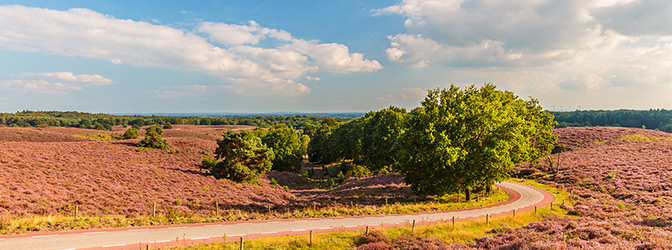 nationaal park de hoge veluwe fletcher mooi veluwe