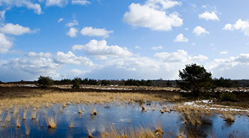 Omgeving van Putten en de Veluwe